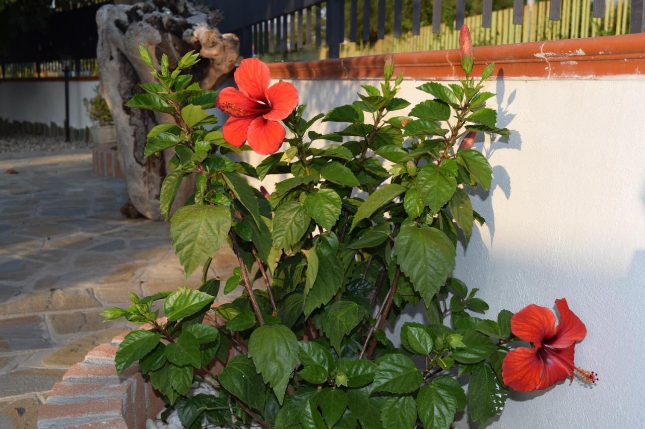 Apartamento La casa di Ely Agropoli Exterior foto